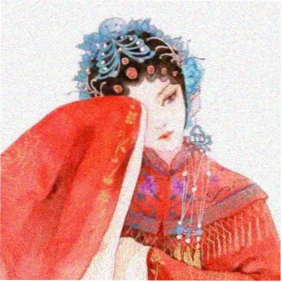 读者麦冬头像